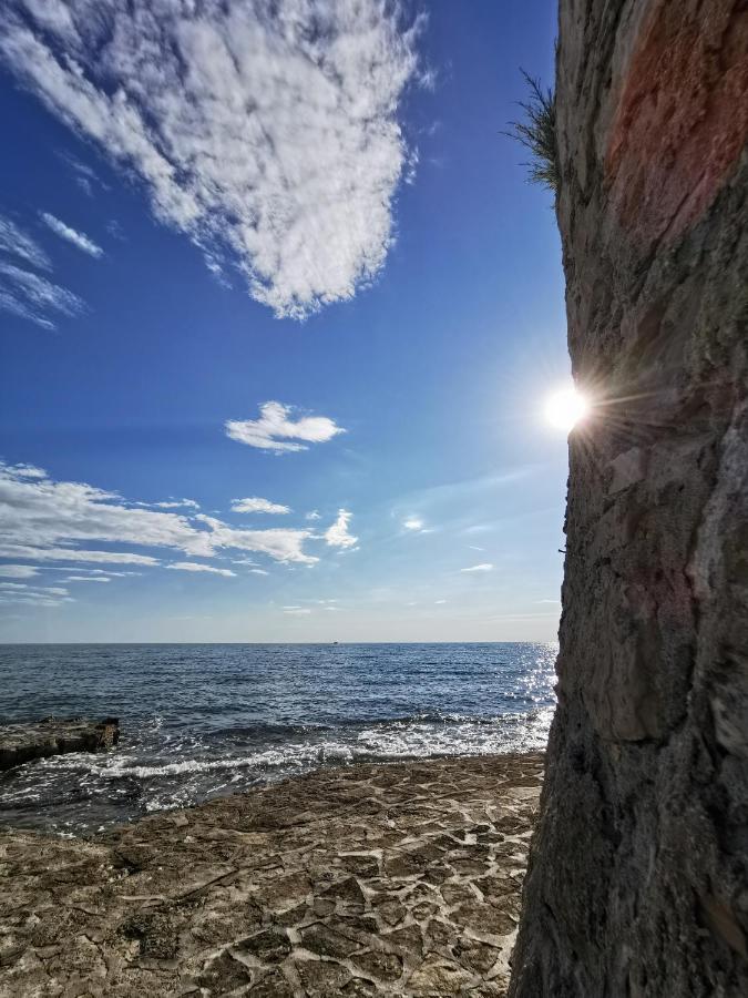 Aria Deluxe Superior 5 Star Apartment, Your Piece Of Heaven By The Sea & Park, With Sea & Park View Novigrad Istria Exterior foto